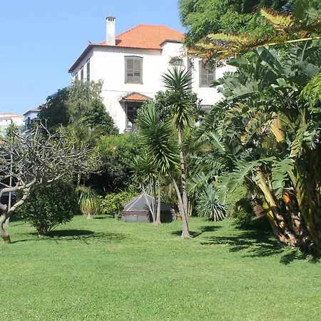 Jasmineiro - Palms Palace Apartamento