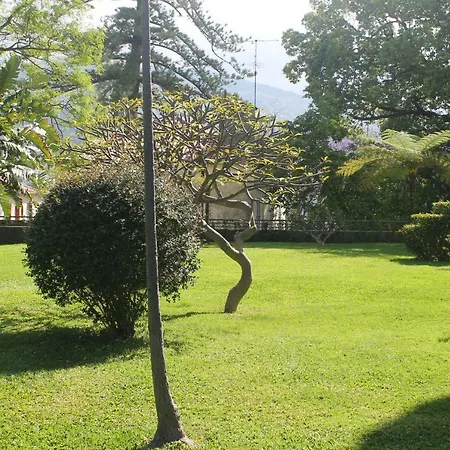 Appartamento Jasmineiro - Palms Palace