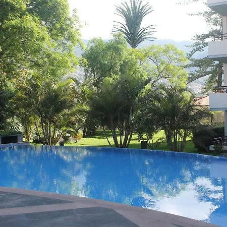 Jasmineiro - Palms Palace