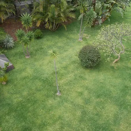 Jasmineiro - Palms Palace Appartamento